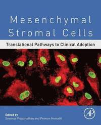 bokomslag Mesenchymal Stromal Cells