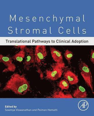 bokomslag Mesenchymal Stromal Cells