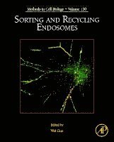 Wei Guo - Sorting and Recycling Endosomes, Inbunden