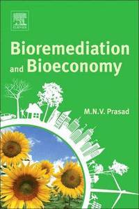 bokomslag Bioremediation and Bioeconomy