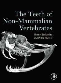 bokomslag The Teeth of Non-Mammalian Vertebrates