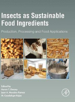 bokomslag Insects as Sustainable Food Ingredients