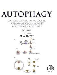 bokomslag Autophagy: Cancer, Other Pathologies, Inflammation, Immunity, Infection, and Aging