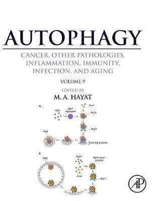 Autophagy: Cancer, Other Pathologies, Inflammation, Immunity, Infection, and Aging 1