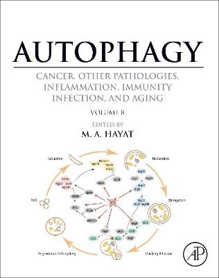 bokomslag Autophagy: Cancer, Other Pathologies, Inflammation, Immunity, Infection, and Aging