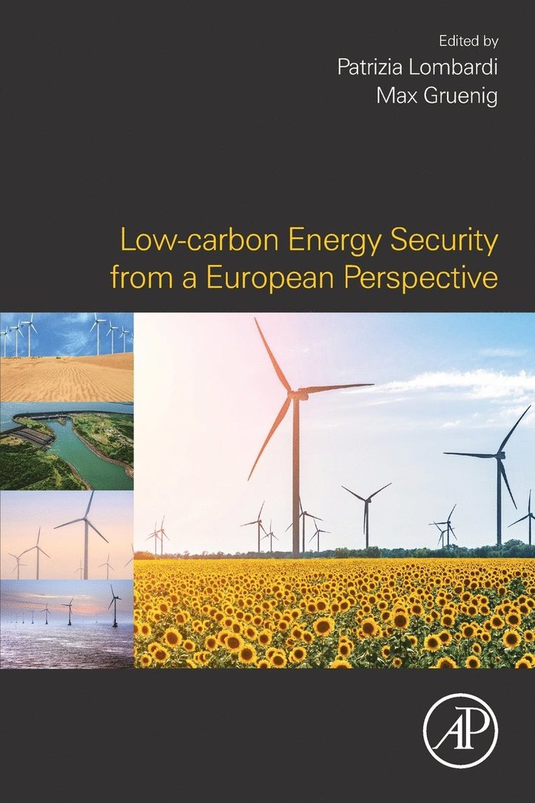 Low-carbon Energy Security from a European Perspective 1