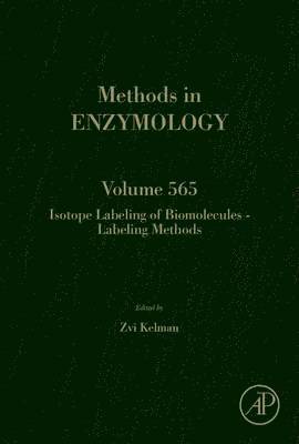 bokomslag Isotope Labeling of Biomolecules - Labeling Methods