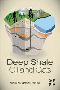 bokomslag Deep Shale Oil and Gas