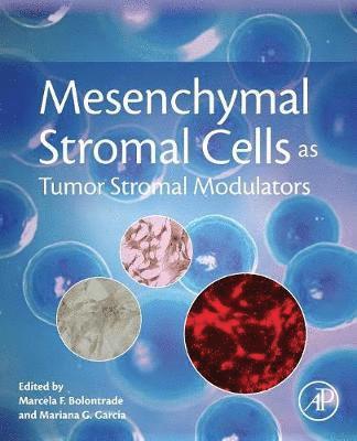 bokomslag Mesenchymal Stromal Cells as Tumor Stromal Modulators