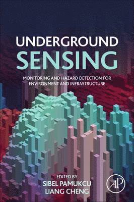 bokomslag Underground Sensing