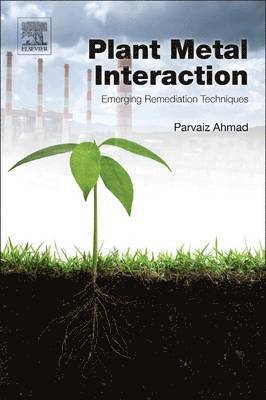 Plant Metal Interaction 1