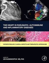 bokomslag The Heart in Rheumatic, Autoimmune and Inflammatory Diseases