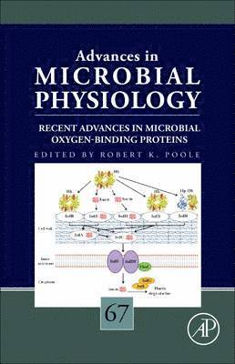 bokomslag Recent Advances in Microbial Oxygen-Binding Proteins