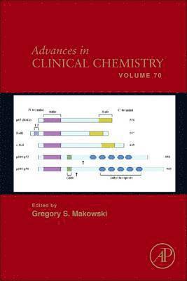 bokomslag Advances in Clinical Chemistry