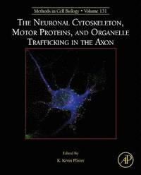 bokomslag The Neuronal Cytoskeleton, Motor Proteins, and Organelle Trafficking in the Axon