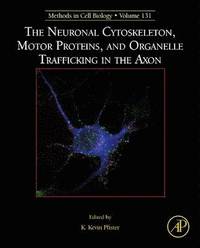 bokomslag The Neuronal Cytoskeleton, Motor Proteins, and Organelle Trafficking in the Axon