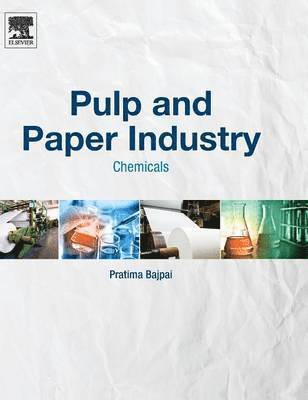 bokomslag Pulp and Paper Industry