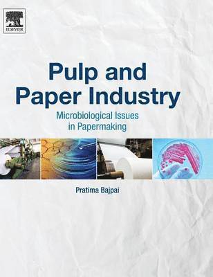 bokomslag Pulp and Paper Industry