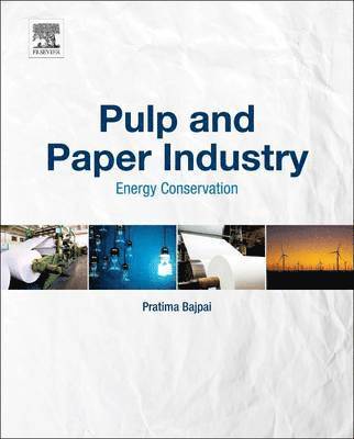 bokomslag Pulp and Paper Industry