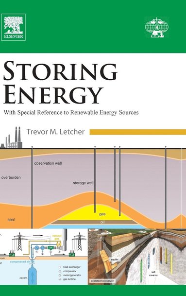 bokomslag Storing Energy