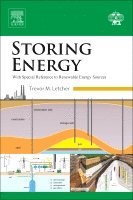 Trevor M. Letcher, Trevor Letcher, South Africa) Letcher, Trevor (Emeritus Professor, University of KwaZulu-Natal - Storing Energy, Inbunden