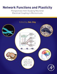 bokomslag Network Functions and Plasticity