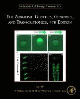 bokomslag The Zebrafish: Genetics, Genomics, and Transcriptomics