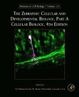 bokomslag The Zebrafish: Cellular and Developmental Biology, Part A Cellular Biology