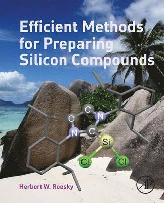 bokomslag Efficient Methods for Preparing Silicon Compounds