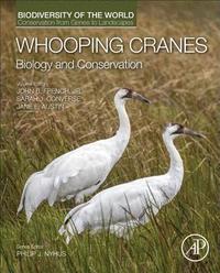 bokomslag Whooping Cranes: Biology and Conservation