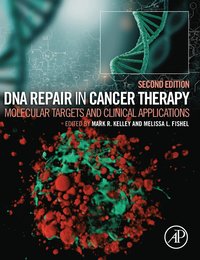 bokomslag DNA Repair in Cancer Therapy