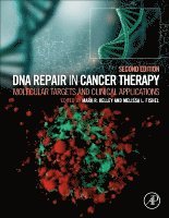 bokomslag DNA Repair in Cancer Therapy