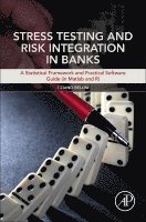 bokomslag Stress Testing and Risk Integration in Banks