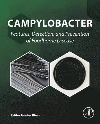 bokomslag Campylobacter