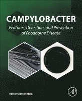 Campylobacter