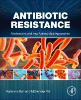 Kateryna Kon, Mahendra Rai - Antibiotic Resistance, Häftad