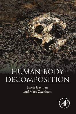 Human Body Decomposition 1