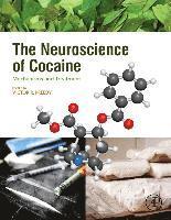 bokomslag The Neuroscience of Cocaine