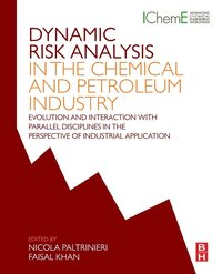 bokomslag Dynamic Risk Analysis in the Chemical and Petroleum Industry