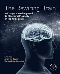 bokomslag The Rewiring Brain