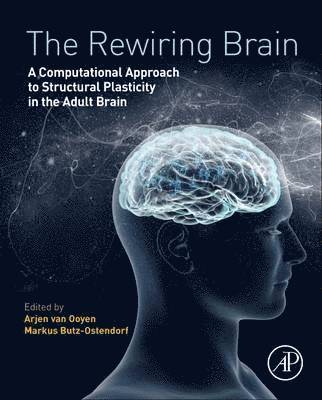 The Rewiring Brain 1