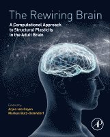 Arjen van Ooyen, Markus Butz-Ostendorf, Arjen Van Ooyen, Arjen van Ooyen - The Rewiring Brain, Inbunden