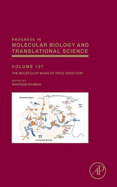 Shafiqur Rahman - The Molecular Basis of Drug Addiction, Inbunden