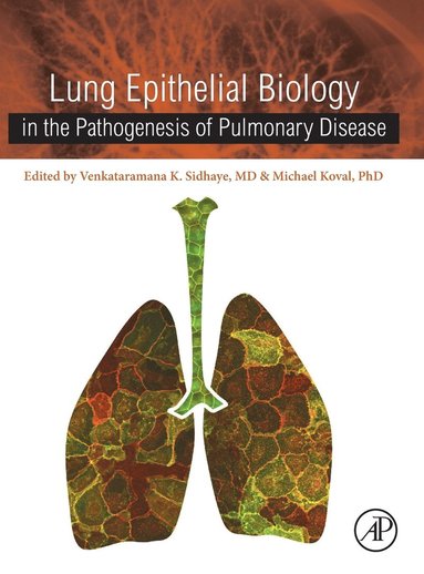 bokomslag Lung Epithelial Biology in the Pathogenesis of Pulmonary Disease