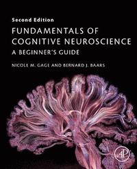 bokomslag Fundamentals of Cognitive Neuroscience