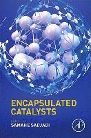 bokomslag Encapsulated Catalysts