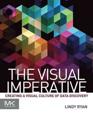 The Visual Imperative 1