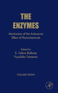 bokomslag Mechanism of the Anticancer Effect of Phytochemicals