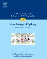 Elsa Rossignol, Lionel Carmant - Neurobiology of Epilepsy, Inbunden