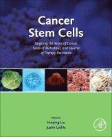 Huiping Liu, Justin Durla Lathia - Cancer Stem Cells, Inbunden